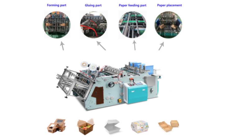 How Paper Burger Box Making Machine Works Efficiently?