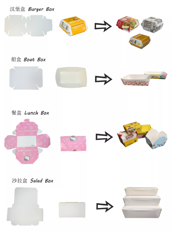Paper Lunch box